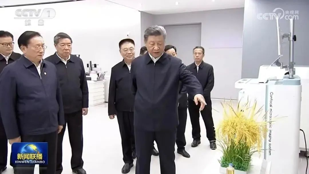 壹号娱乐 - NG大舞台,有梦你就来
